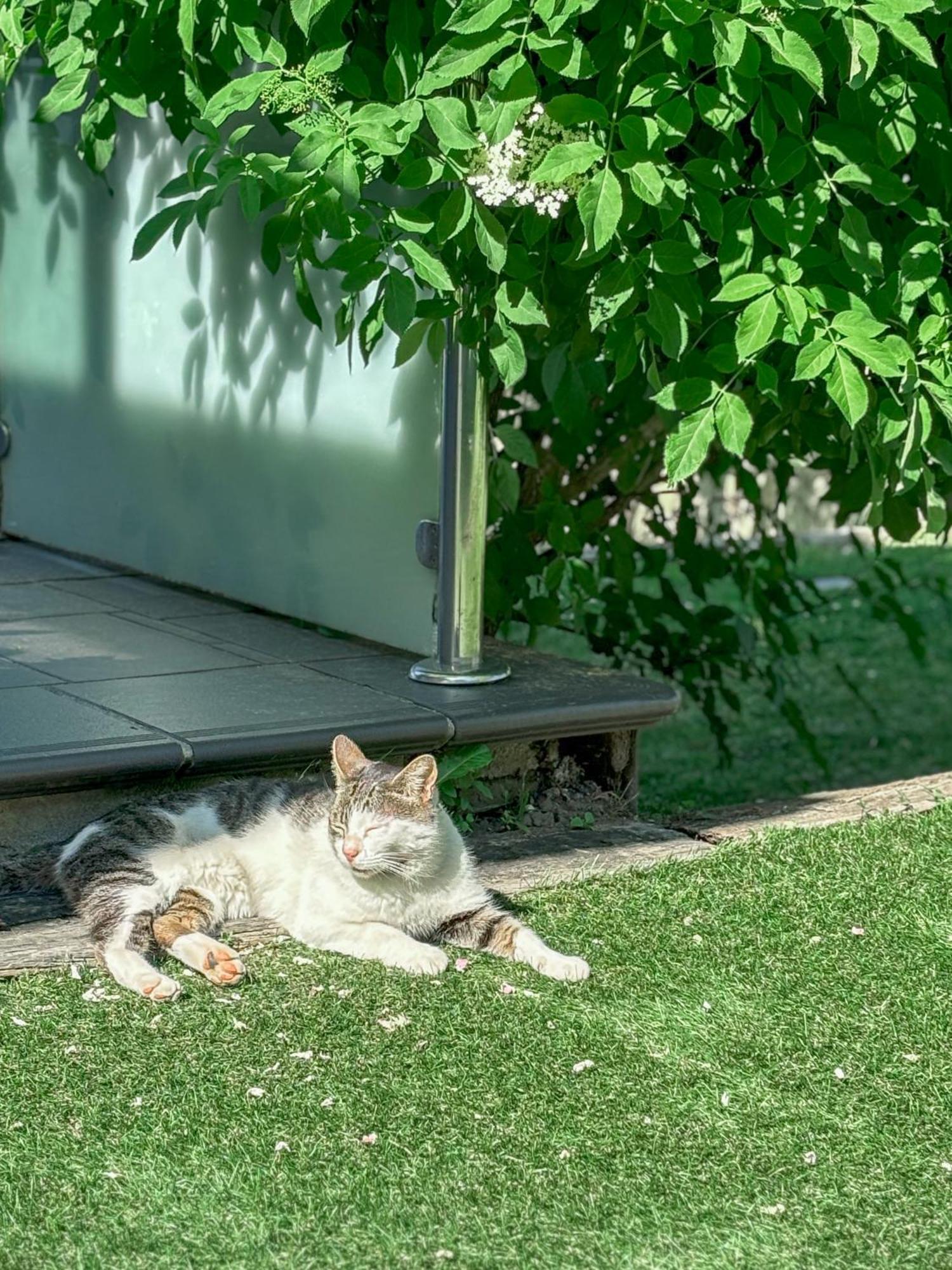 Villa Suances Tagle Εξωτερικό φωτογραφία